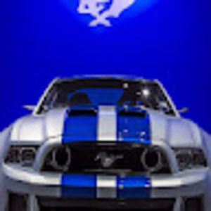 Meet your Posher, Marcus